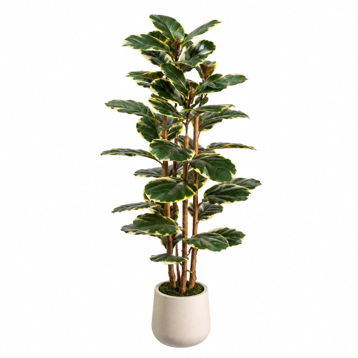 Plante artificielle 180 cm en plastique vert et crème pour intérieur décoratif