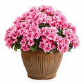 Plante artificielle en pot 45 cm géranium rose avec pot en céramique pour intérieur