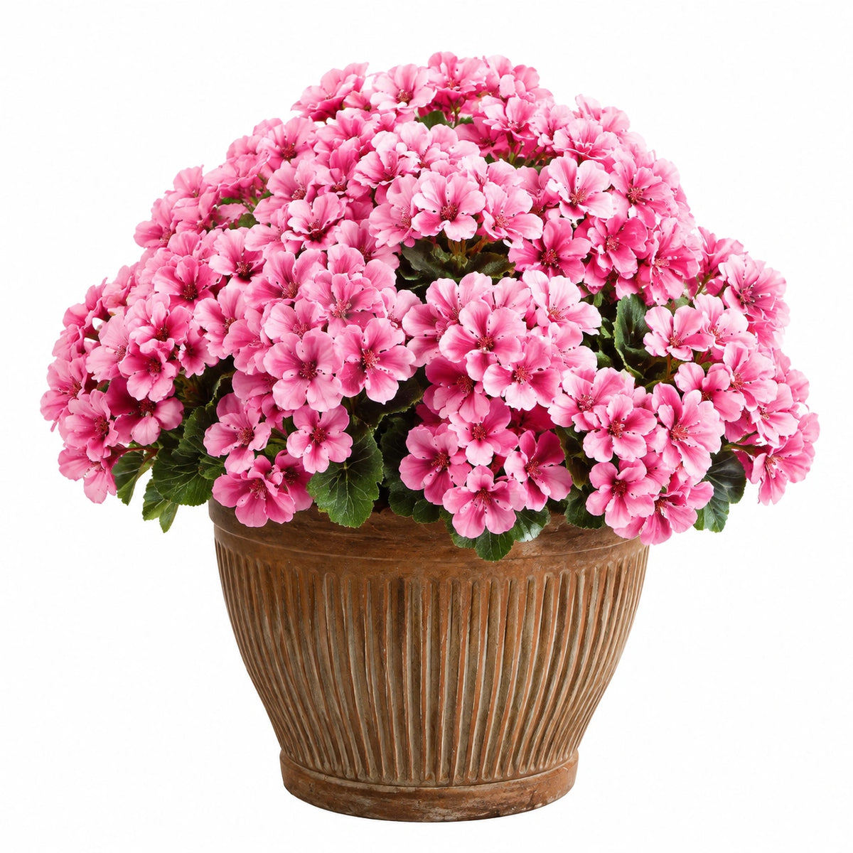 Plante artificielle en pot 45 cm géranium rose avec pot en céramique pour intérieur