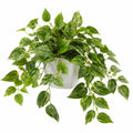 Plante verte artificielle 65 cm en polyester vert blanc retombante décorative