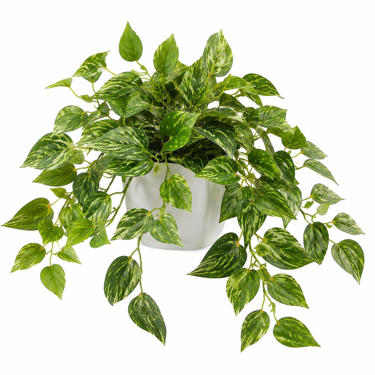 Plante verte artificielle 65 cm en polyester vert blanc retombante décorative